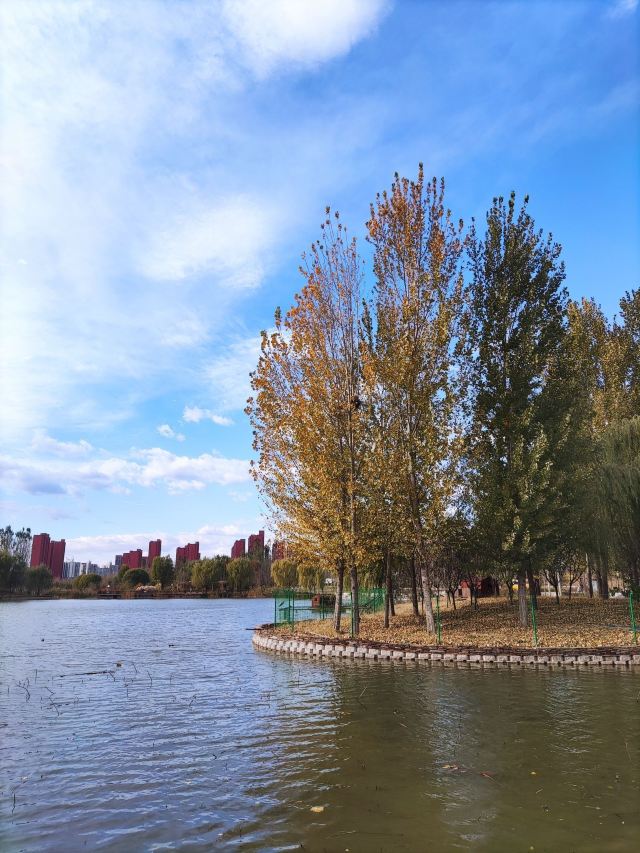 官庄公园旅行图片 14