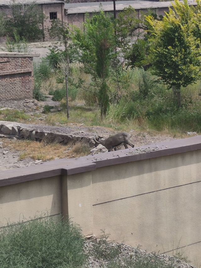 北武当地质公园旅行图片 1