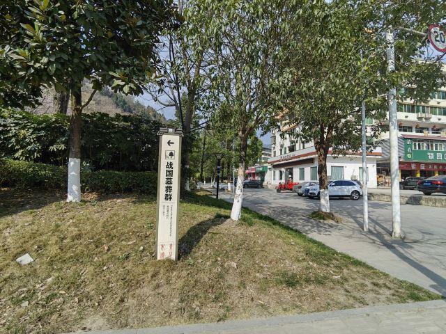 青川郝家坪战国墓群旅行图片 6