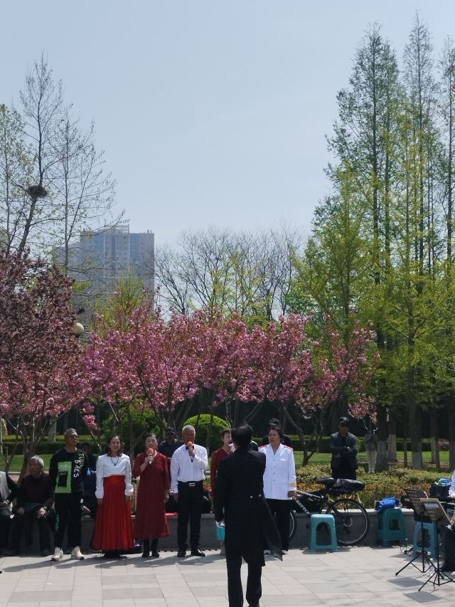 金普新区体育公园旅行图片 1