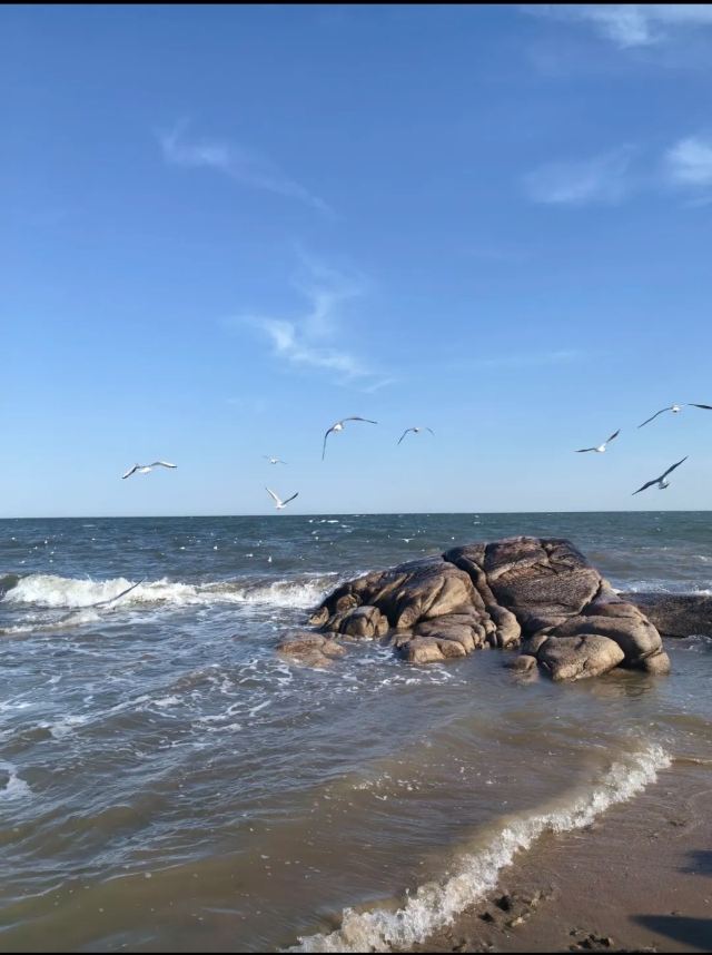老虎石海上公园旅行图片 3