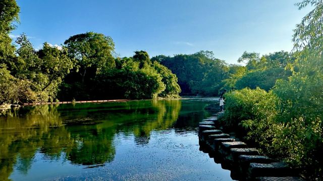 花溪公园旅行图片 1