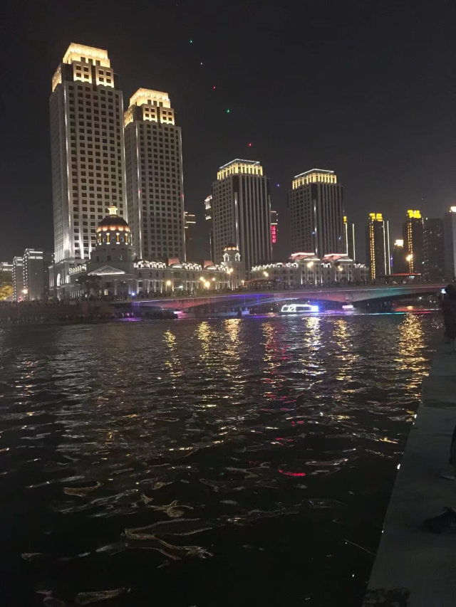 海河公园旅行图片 2