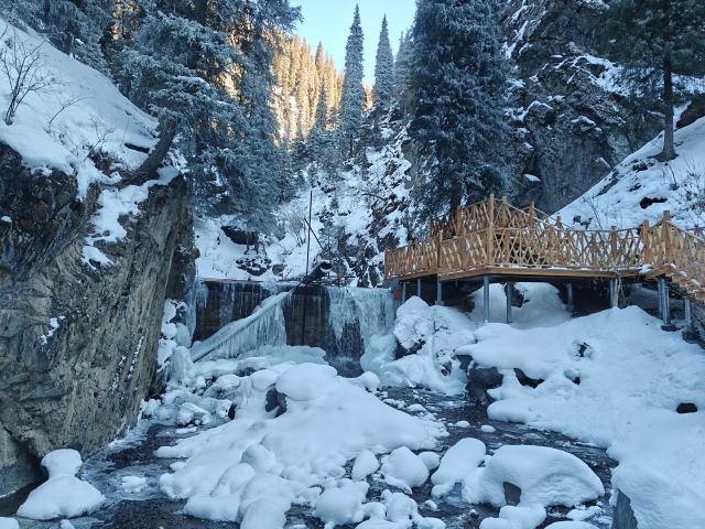 南山牧场西白杨沟景区旅行图片 5