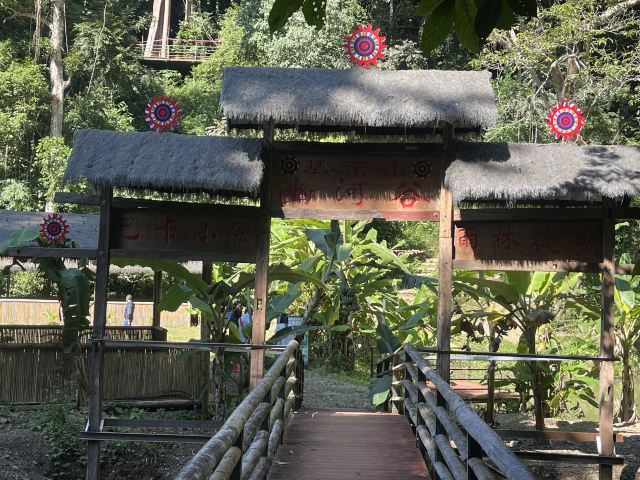 基诺山幽河谷雨林旅行图片 1