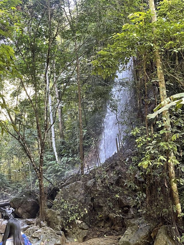 基诺山幽河谷雨林旅行图片 5
