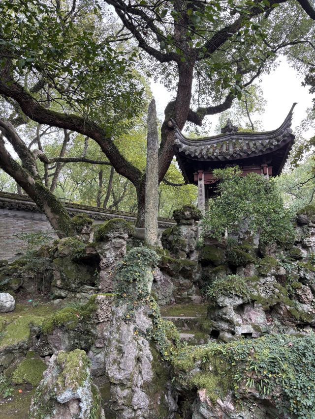 天一阁·月湖旅行图片 3