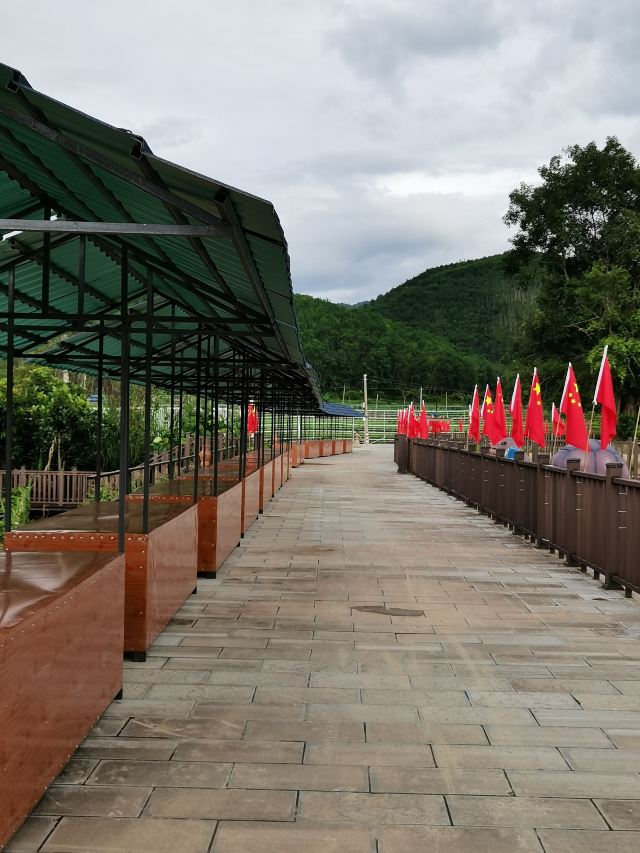 极边第一村龙利景区旅行图片 1