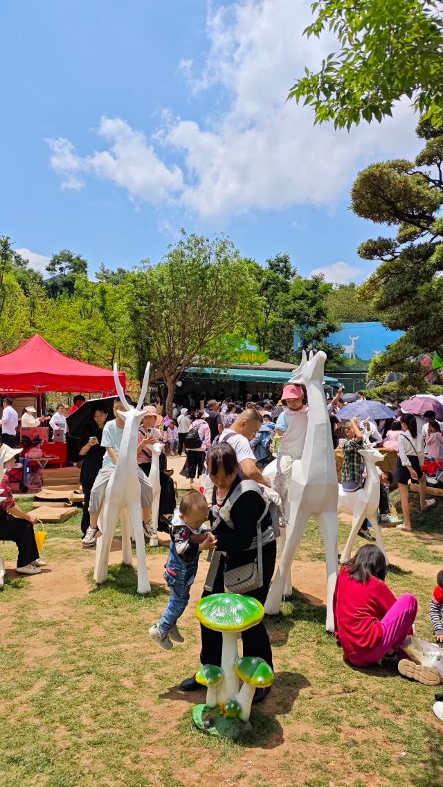 白鹿森林旅行图片 8