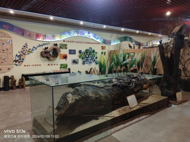 香炉山国家森林公园-自动售卖机旅行图片 11