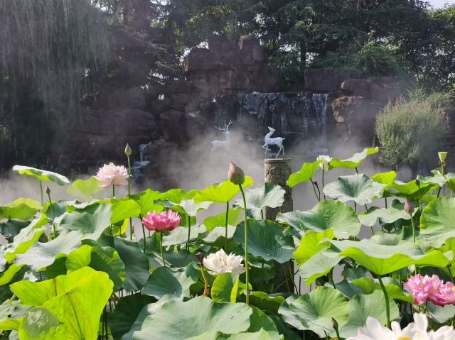 古华园旅行图片 5