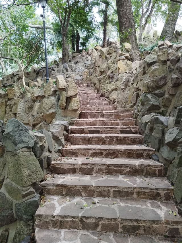 上海鲁迅公园旅行图片 8