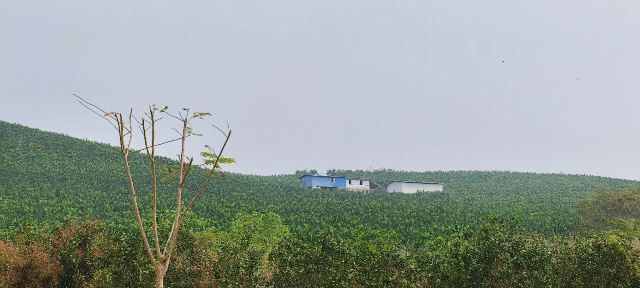 曼远村旅行图片 1