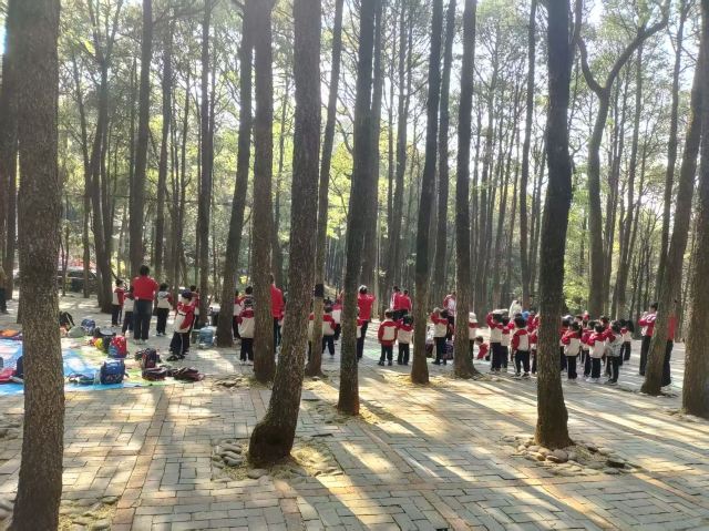 金殿风景名胜区旅行图片 4