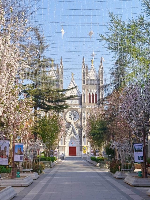 天主教北京总教区西什库主教座堂旅行图片 5