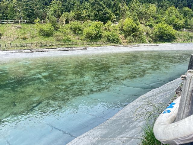 武陵山国家森林公园旅行图片 2
