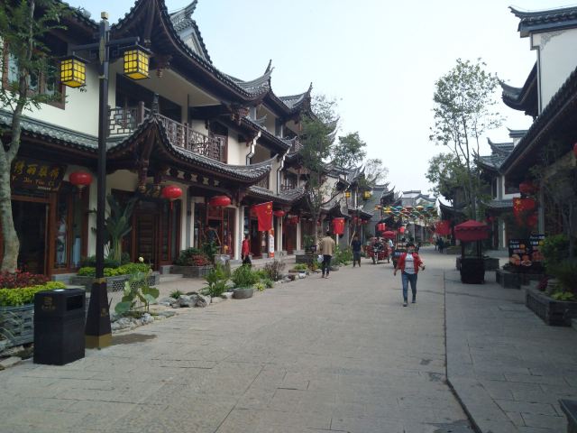 金山古镇旅行图片 5