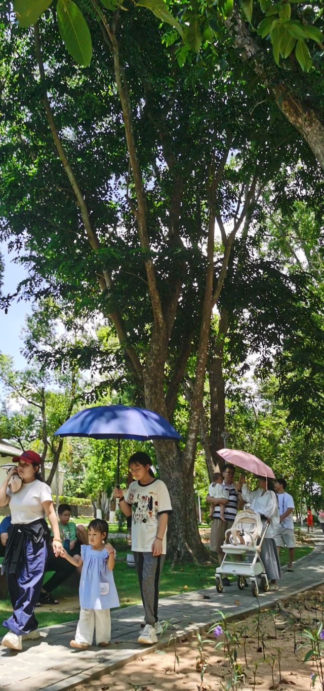 儋州东坡文化旅游区旅行图片 2