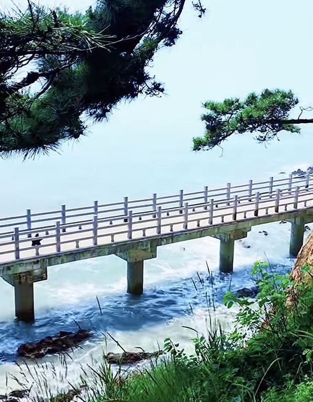 石岛公园旅行图片 1