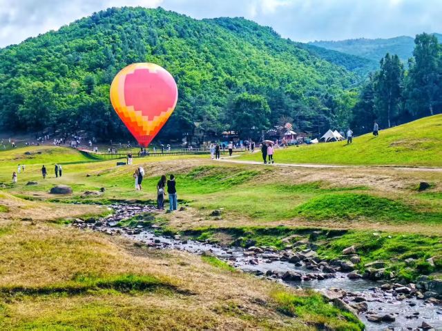 飞泷金山鹿苑旅行图片 1