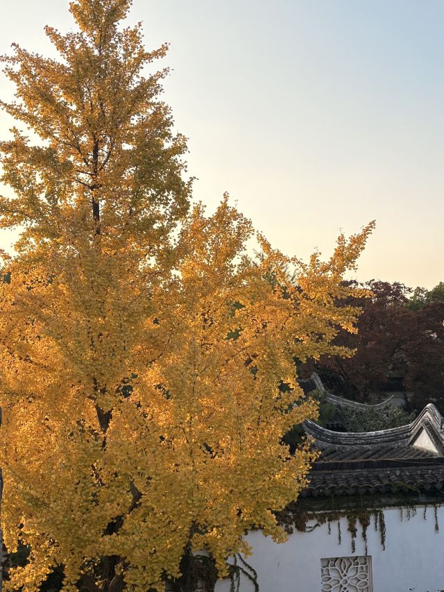 盘门景区旅行图片 1