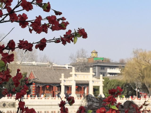 大观园旅行图片 2