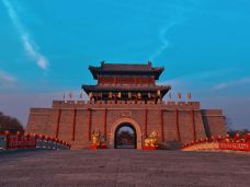 无棣古城旅游景区-无棣-天天向上的大白杨