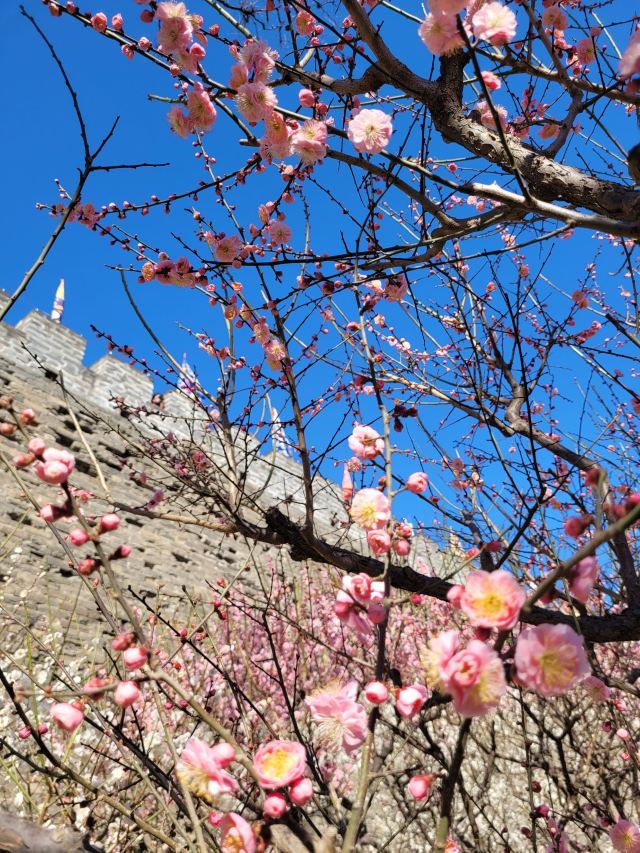北京明城墙遗址公园旅行图片 5