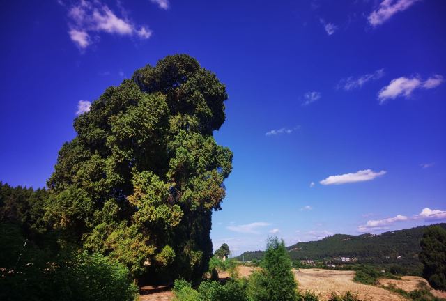 先秦古蜀道旅行图片 5