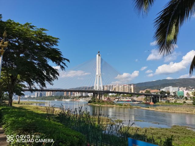 白象沙滩旅行图片 5
