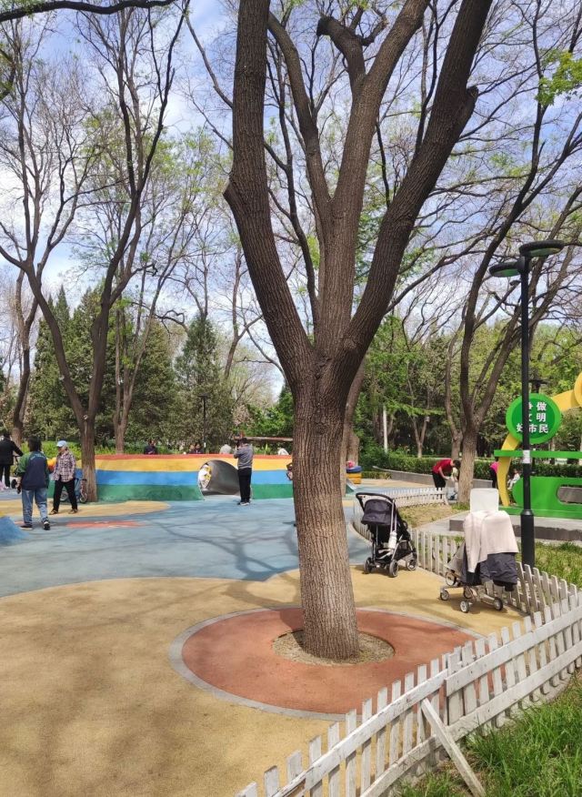 万芳亭公园旅行图片 3