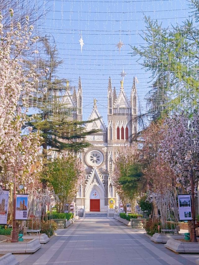 天主教北京总教区西什库主教座堂旅行图片 6