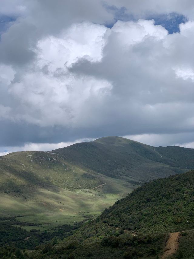 鸟吊山旅行图片 1