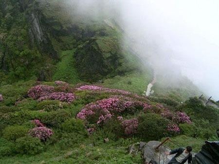 梵净山公园旅行图片 11