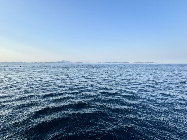 东港音乐喷泉广场旅行图片 7