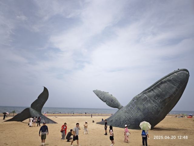 烟台金沙滩海滨公园-观景台旅行图片 1