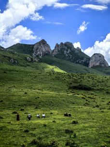 则岔石林-碌曲-Zheng-Nan