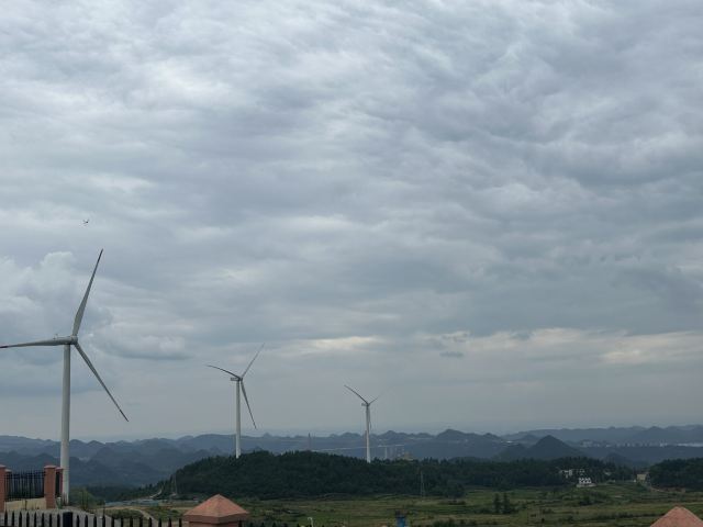 龙里油画大草原旅行图片 1