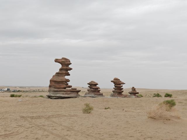 沙漠雕塑公园旅行图片 9