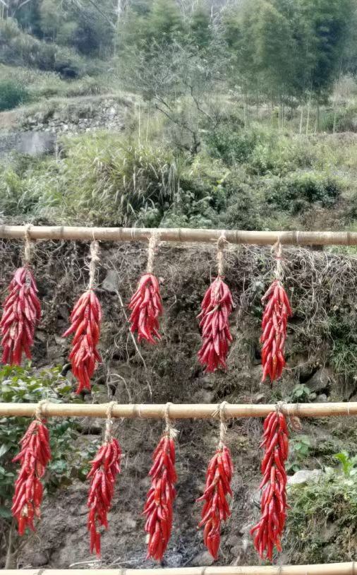林坑古村落旅行图片 2