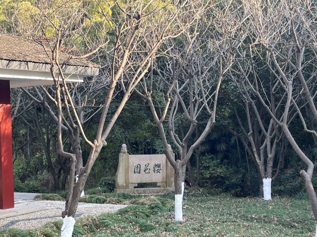亭林园旅行图片 3