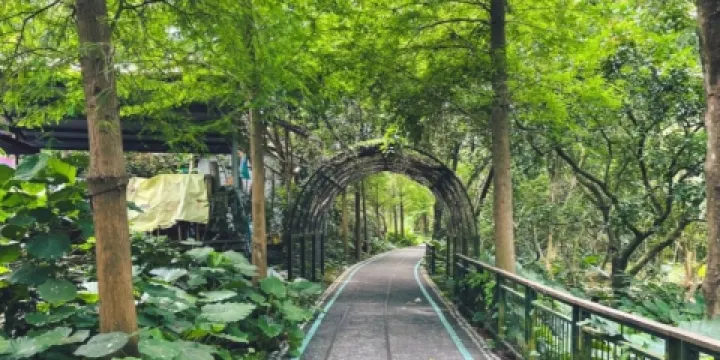 古坑綠色隧道公園