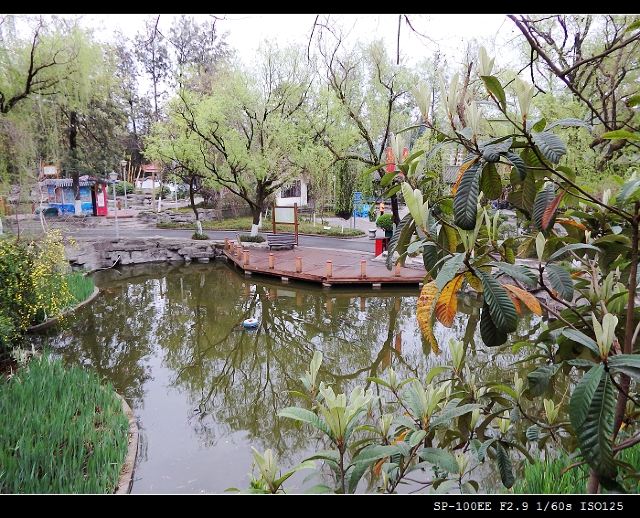 凤凰山公园旅行图片 4