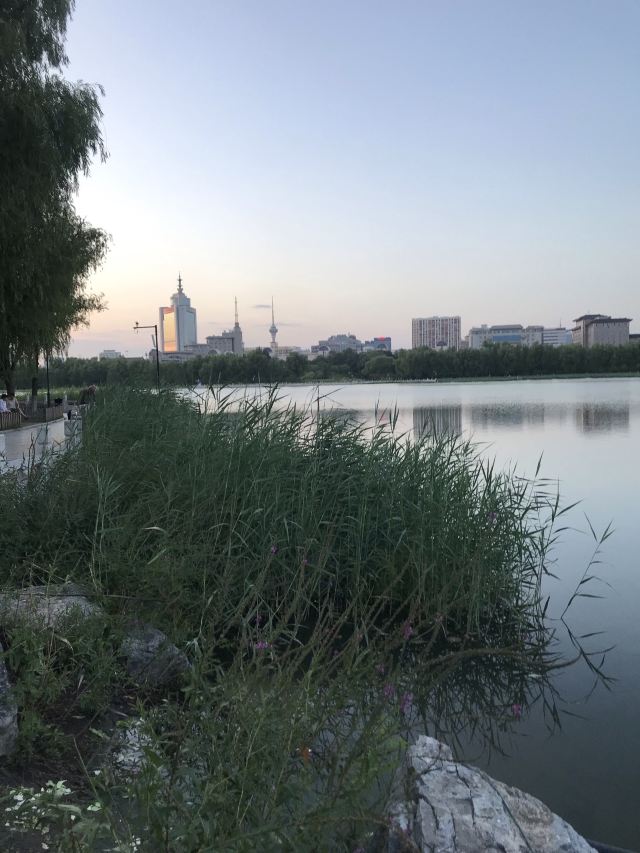 莲花池公园旅行图片 3