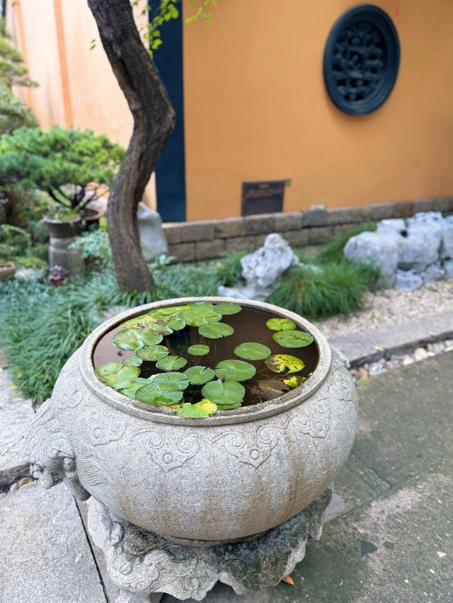 湖州铁佛寺旅行图片 3