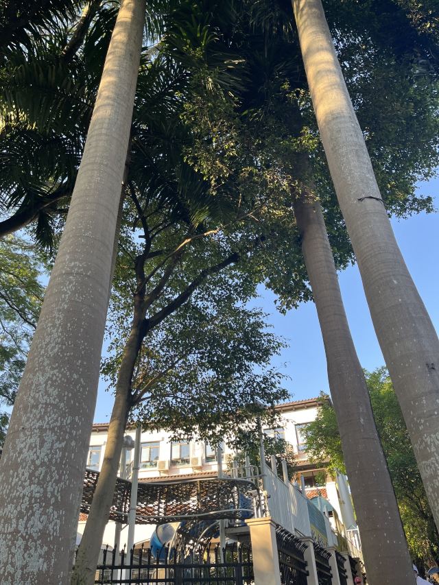 尖岗山公园旅行图片 3
