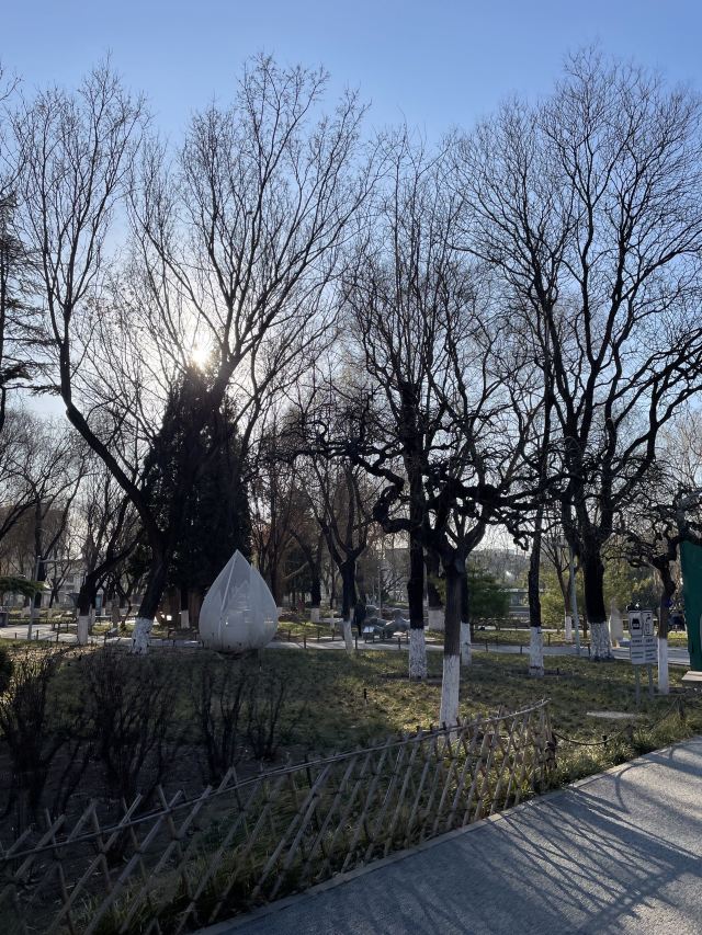 陶然亭旅行图片 2