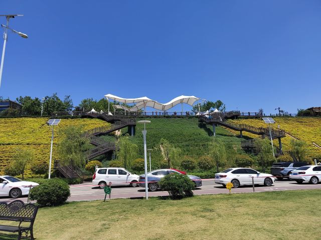泾渭分明观景台旅行图片 1