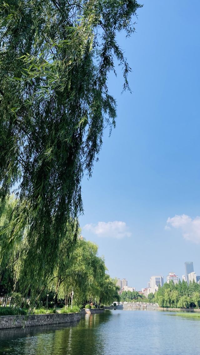 四美塘文化公园旅行图片 2