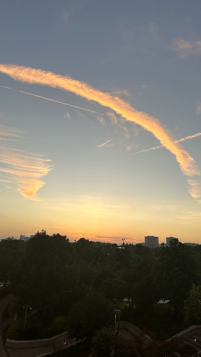 九棵树艺术公园旅行图片 3